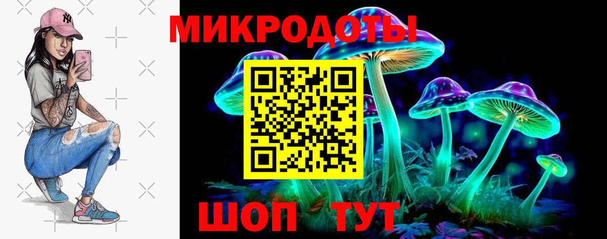 Галлюциногенные грибы GOLDEN TEACHER  Псилоцибиновые грибы прущие грибы  дарнет шоп  Видное  Вход с VPN 